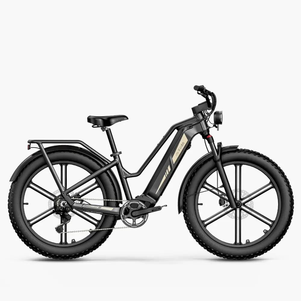 750w Electric Bike - US Only Sale